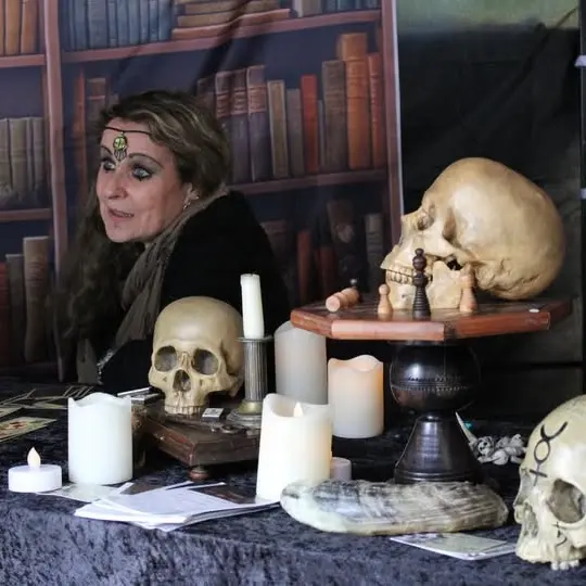 La belle et les bêtes