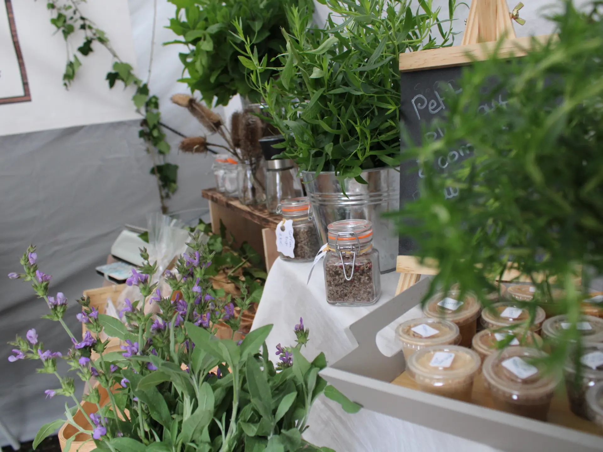 Castle Handpan Festival - Edition 2024